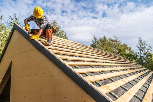 Best Roof Leak Repair  in Van, TX