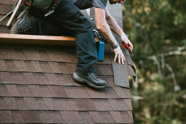Best Roof Leak Repair  in Van, TX